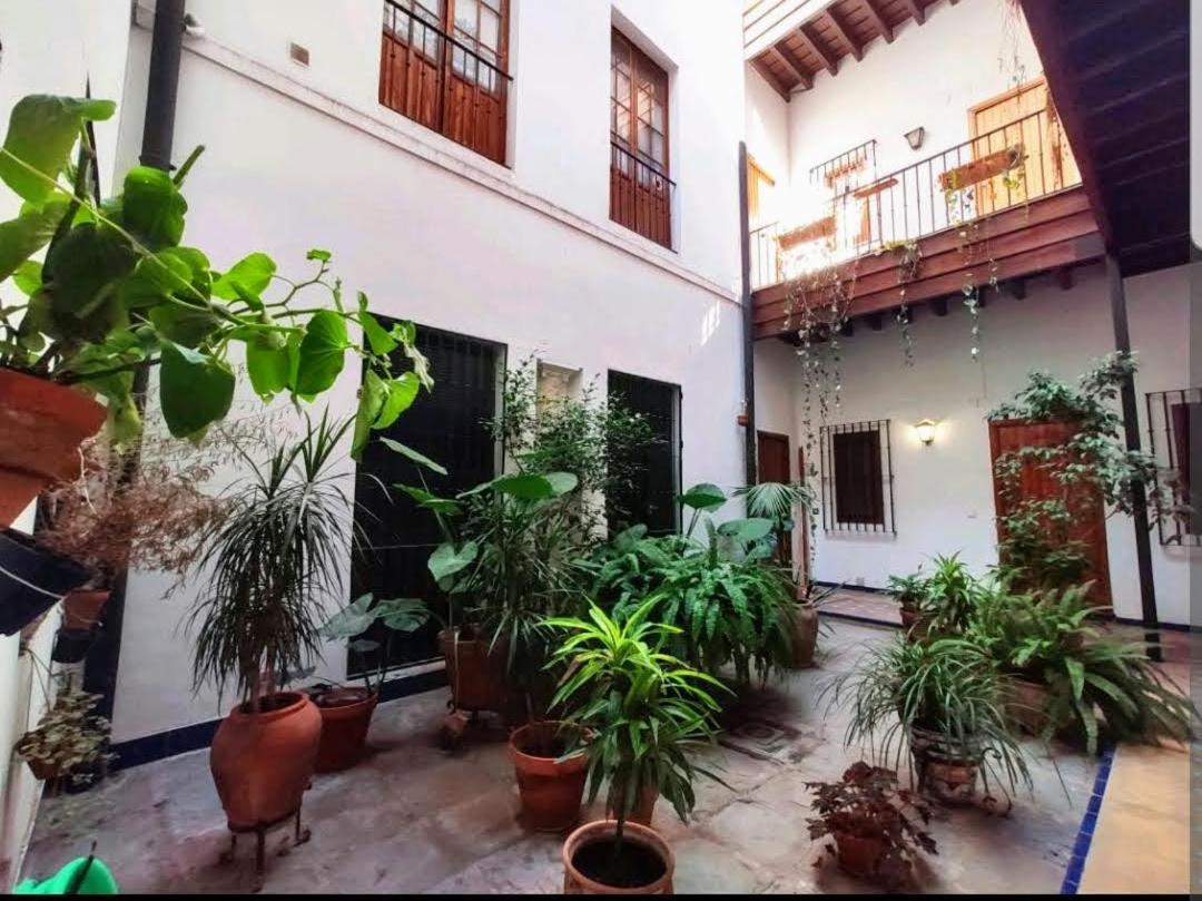 Coco Home Sevilla Urban Apartment Экстерьер фото